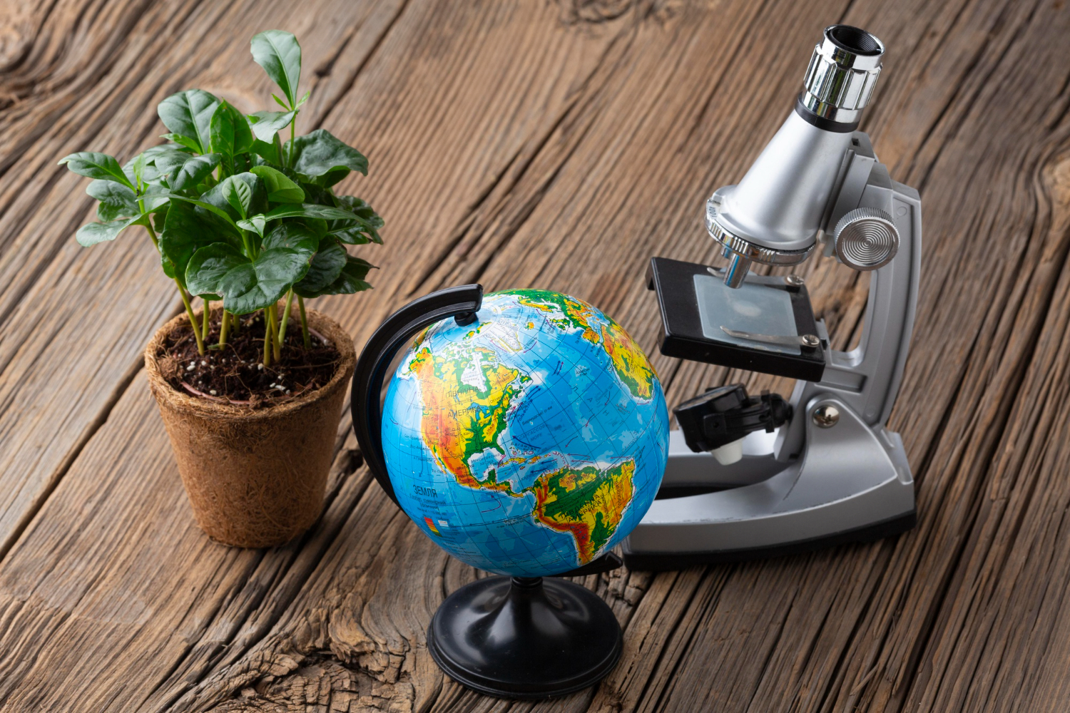 الاستاذ عربي أحمد مدرس الأحياء و العلوم