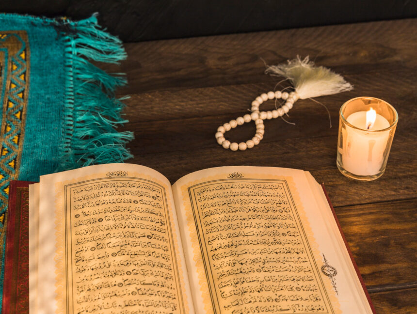 استاذة اميرة مصطفى عثمان احمد معلمة لغة عربية